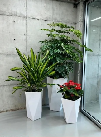 宁波花卉租用商家-宁波绿植租赁商家-宁波花卉租摆安装-宁波绿植租摆展示